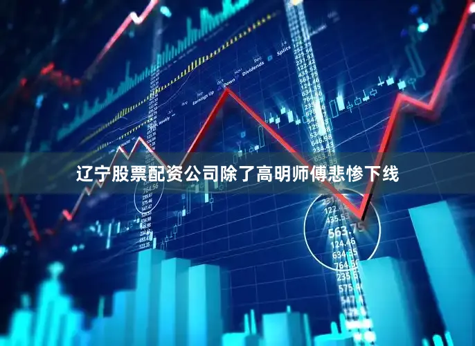 辽宁股票配资公司除了高明师傅悲惨下线