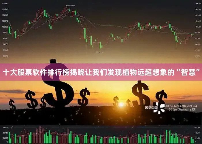 十大股票软件排行榜揭晓让我们发现植物远超想象的“智慧”