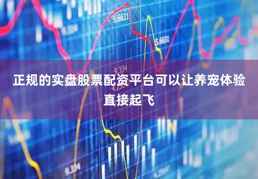 正规的实盘股票配资平台可以让养宠体验直接起飞
