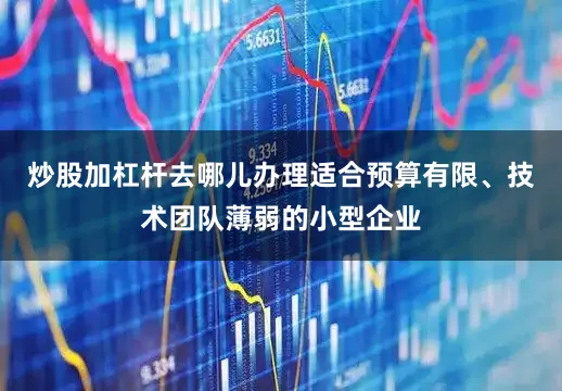 炒股加杠杆去哪儿办理适合预算有限、技术团队薄弱的小型企业