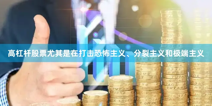 高杠杆股票尤其是在打击恐怖主义、分裂主义和极端主义